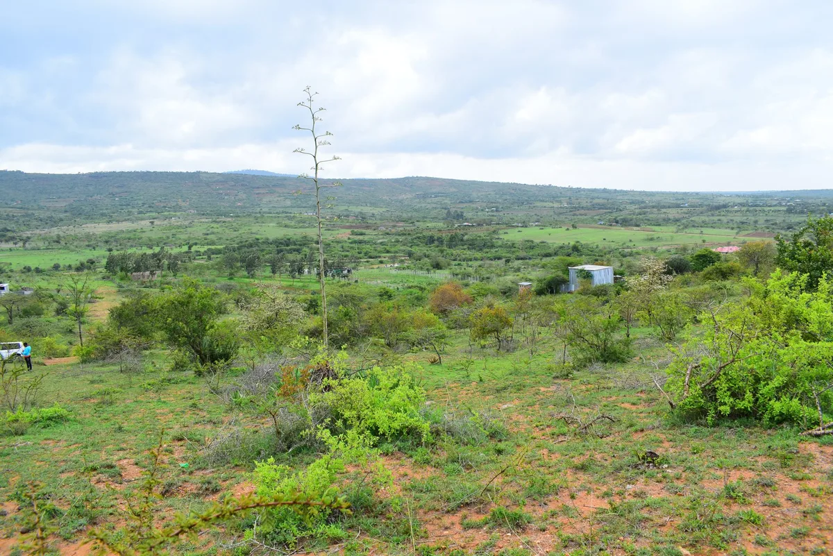 DSLR photo of Camp David Estate in Machakos — scenic residential plots near the county capital (photo 03)