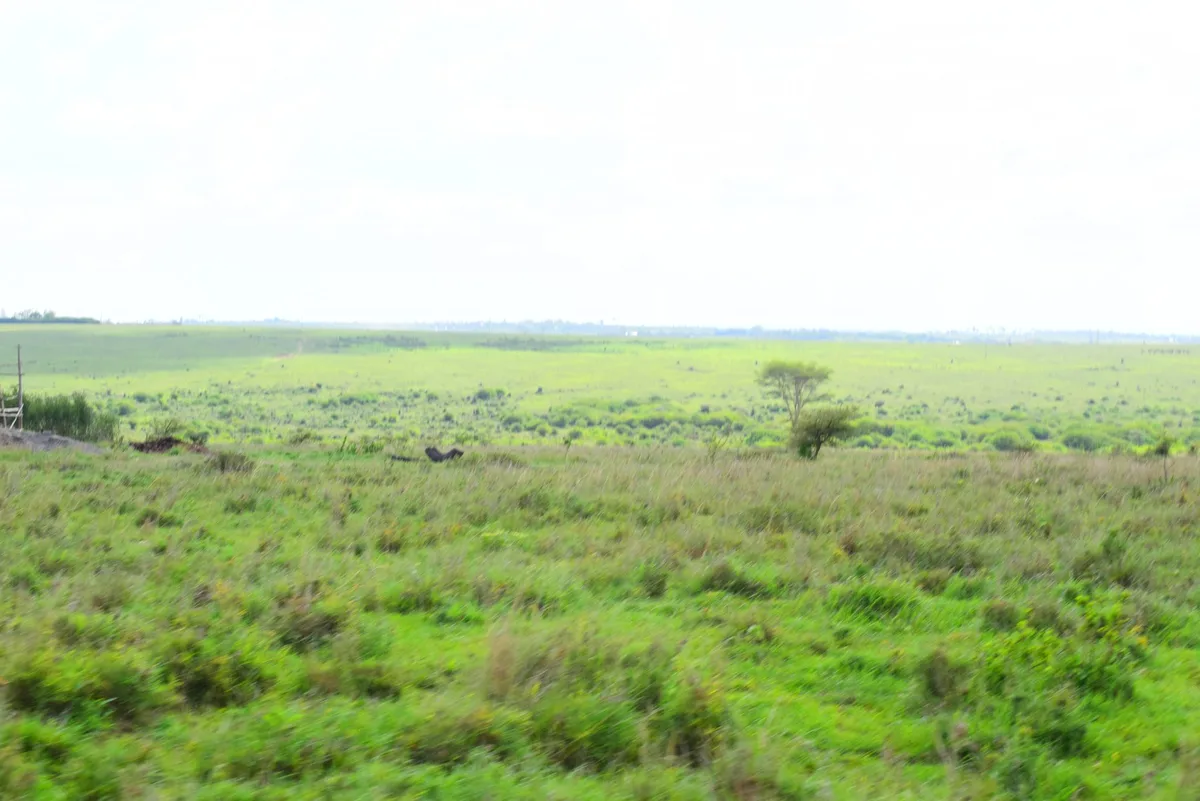 DSLR photo of Camp David Estate in Machakos — scenic residential plots near the county capital (photo 07)