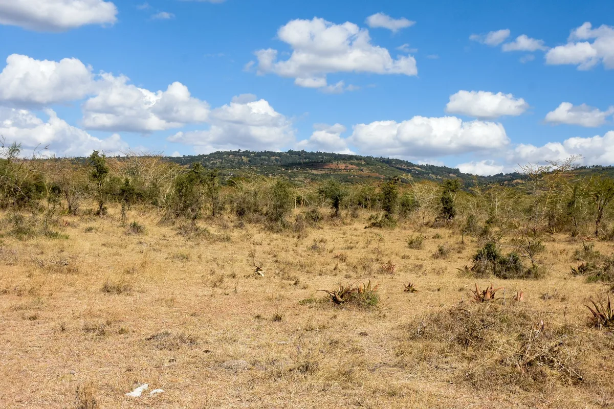 DSLR photo of Hills View Estate in Machakos Hills — elevated ⅛ acre plots with panoramic views (photo 05)